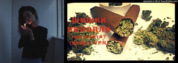 ешки Медногорск