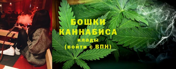 дмт Мегион