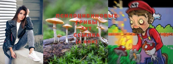 ешки Медногорск