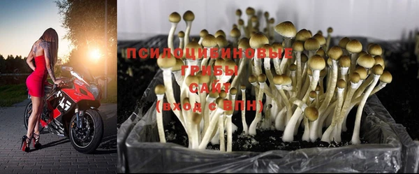 эйфоретик Михайловка